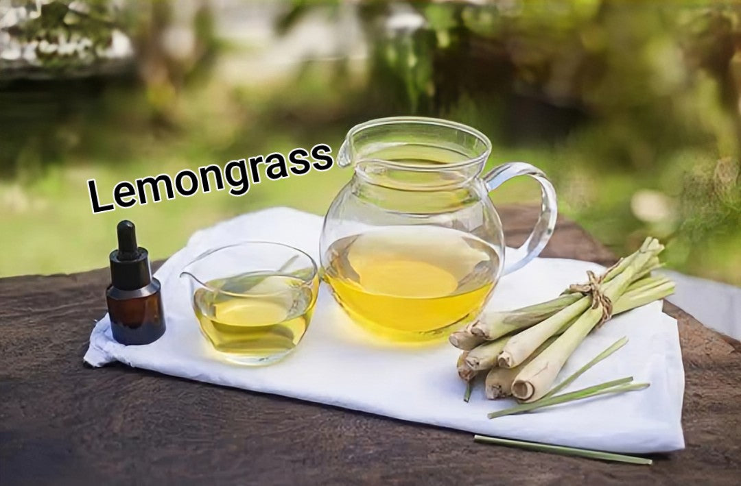 LEMONGRASS & EUCALYPTUS GROWTH OIL~ Repair, Regenerate & increase hair growth-6oz